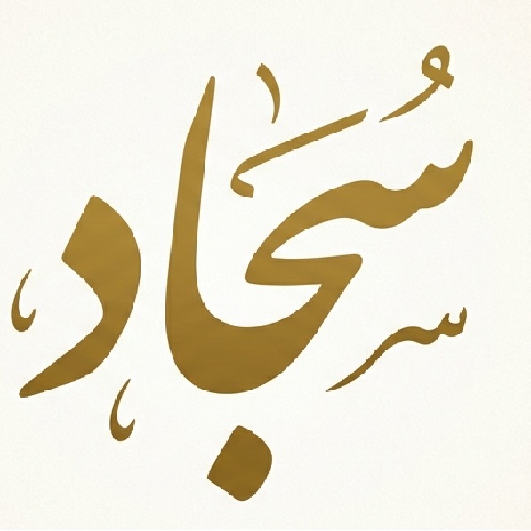 سجاد لطفیان سرگزی